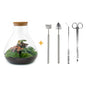 🌿🛠️ DIY Terrarium Sam XL – Red – 35 cm – Complete with rake, shovel, tweezers &amp; scissors