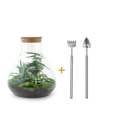 🌿🛠️ DIY Terrarium Sam XL – 35 cm – Including rake &amp; shovel