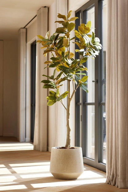 🌸 Magnolia Denudata – Artificial tree – 150 cm