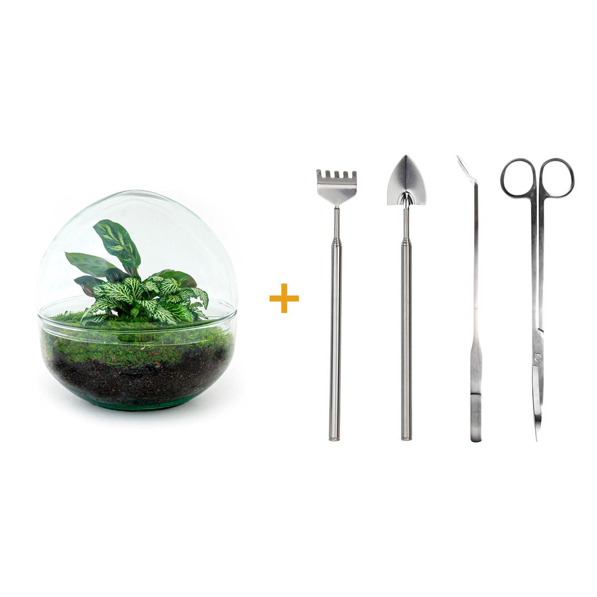 🌿🛠️ DIY Terrarium Dome – 20 cm – Complete with rake, shovel, tweezers &amp; scissors