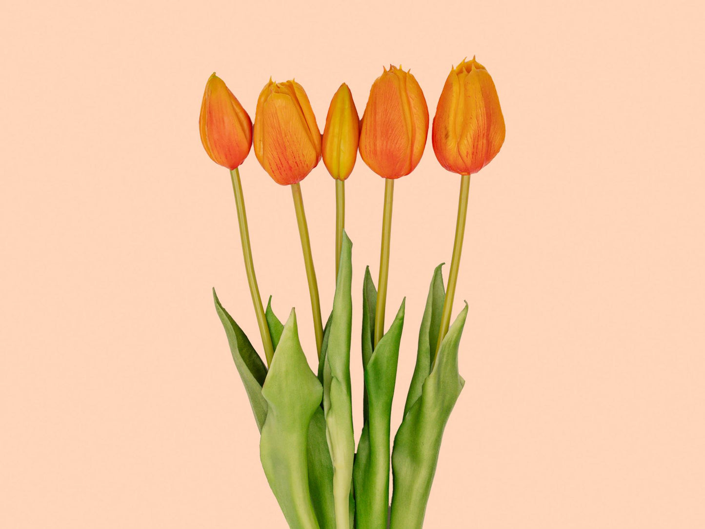 🌷 Orange Tulip Bouquet – 10 pieces – Real Touch – 42 cm