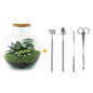 🌿🛠️ DIY Terrarium Bolder Bob – Bonsai – 30 cm – Complete with rake, shovel, tweezers &amp; scissors