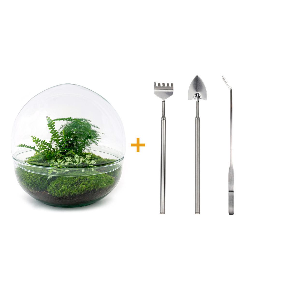 🌿🛠️ DIY Terrarium Dome XL – 30 cm – Includes rake, shovel &amp; tweezers