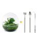 🌿🛠️ DIY Terrarium Dome XL – 30 cm – Includes rake, shovel &amp; tweezers
