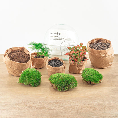 🌿🛠️ DIY Terrarium Dome Red – 20 cm – Including rake &amp; shovel