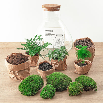 🌿🛠️ DIY Terrarium Sam XL – 35 cm – Complete with rake, shovel, tweezers &amp; scissors