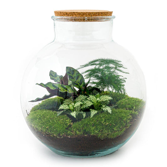 🌿🛠️ DIY Terrarium Bolder Bob – 30 cm – Including rake &amp; shovel