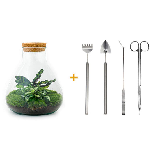 🌿🛠️ DIY Terrarium Sammie – 27 cm – Including rake, shovel &amp; tweezers