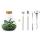 🌿🛠️ DIY Terrarium Sammie – 27 cm – Including rake, shovel &amp; tweezers