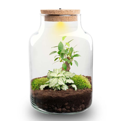 🪴💡 DIY Terrarium Little Milky – With LED – 25 cm