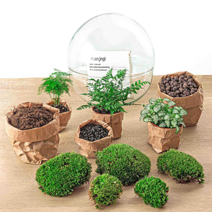 🌿🛠️ DIY Terrarium Dome XL – 30 cm – Includes rake, shovel &amp; tweezers