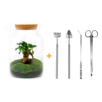 🌿🛠️ DIY Terrarium Milky – With bonsai – 30 cm – Complete with rake, shovel, tweezers &amp; scissors