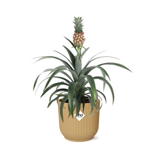 Pineapple Mi Amigo in ELHO Vibes Fold 14 cm yellow