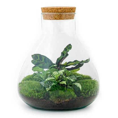 🌿🛠️ DIY Terrarium Sammie – 27 cm – Including rake &amp; shovel