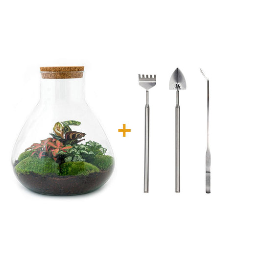 🌿🛠️ DIY Terrarium Sam XL – Rood – 35 cm – Inclusief harkje, schepje & pincet