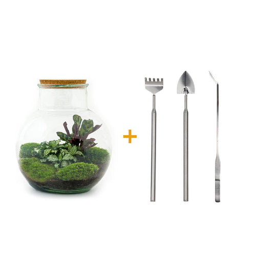 🌿🛠️ DIY Terrarium Teddy – 26.5 cm – Includes rake, shovel &amp; tweezers