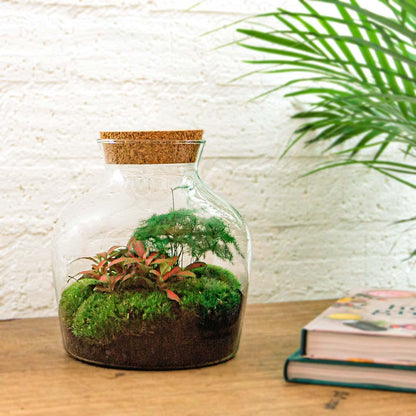 🌿🛠️ DIY Terrarium Little Joe – 21.5 cm – Including rake &amp; shovel