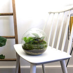 🌿🛠️ DIY Terrarium Dome – 20 cm – Inclusief harkje, schepje & pincet