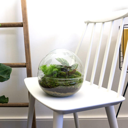 🌿🛠️ DIY Terrarium Dome – 20 cm – Includes rake, shovel &amp; tweezers