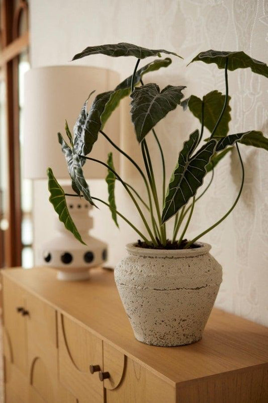 Alocasia 80cm - Artificial plant