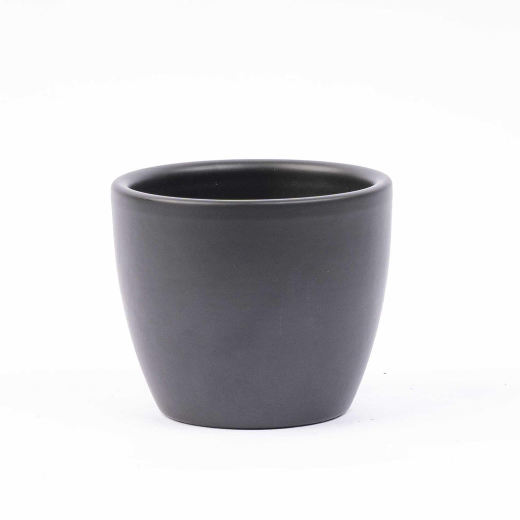 Mini plant set of 6 – Includes 6x Boule anthracite pots | Compact jungle – Easy maintenance