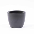 Mini plant set of 6 – Includes 6x Boule anthracite pots | Compact jungle – Easy maintenance