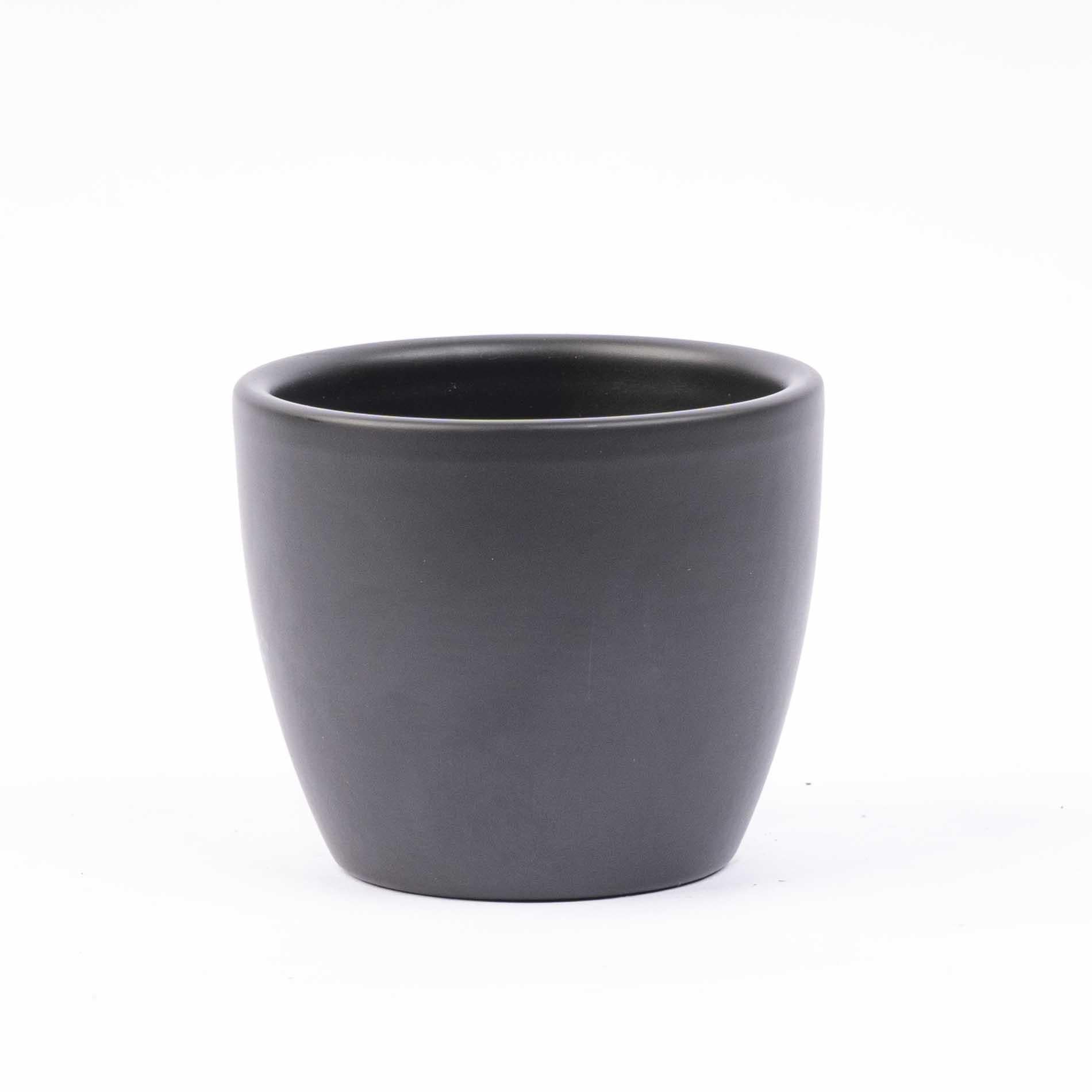 Mini plant set of 6 – Includes 6x Boule anthracite pots | Compact jungle – Easy maintenance