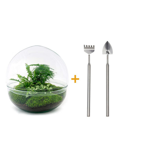 🌿🛠️ DIY Terrarium Dome XL – 30 cm – Including rake &amp; shovel