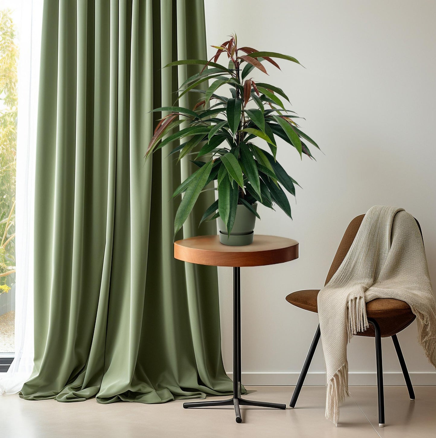 Ficus 'Amstel King' P17 – Ø17cm ↕75cm | Average maintenance