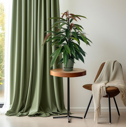 Ficus 'Amstel King' P17 – Ø17cm ↕75cm | Average maintenance