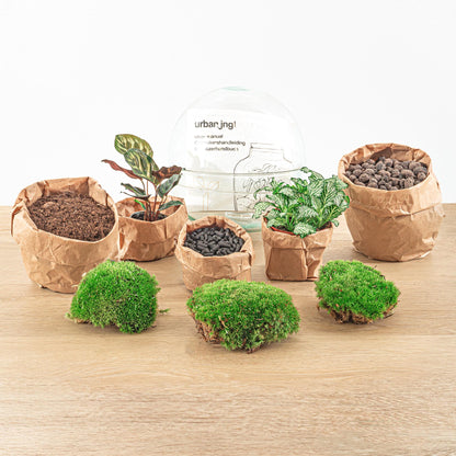 🌿🛠️ DIY Terrarium Dome – 20 cm – Includes rake &amp; shovel