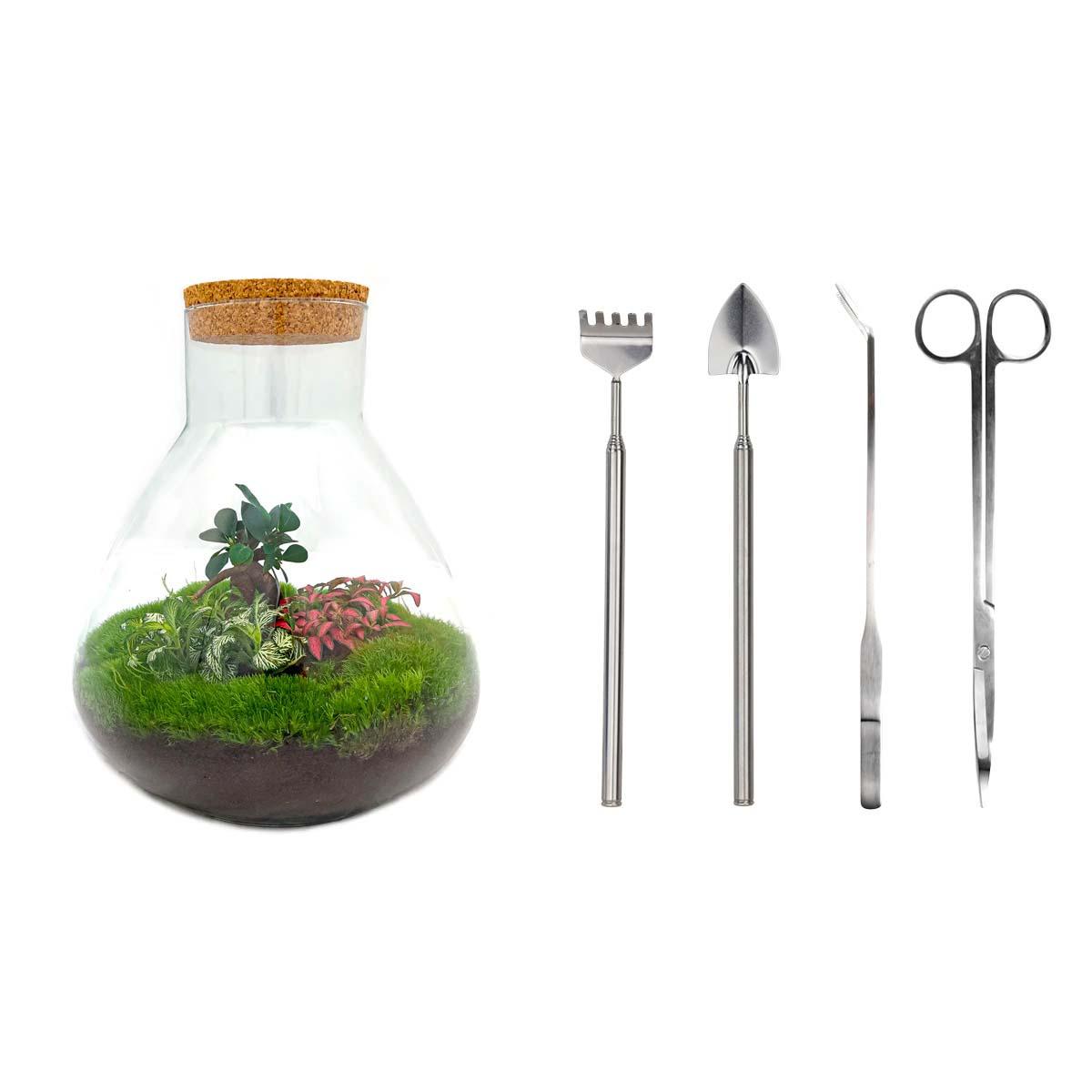🌿🛠️ DIY Terrarium Sam XL – Bonsai – 35 cm – Complete with rake, shovel, tweezers &amp; scissors
