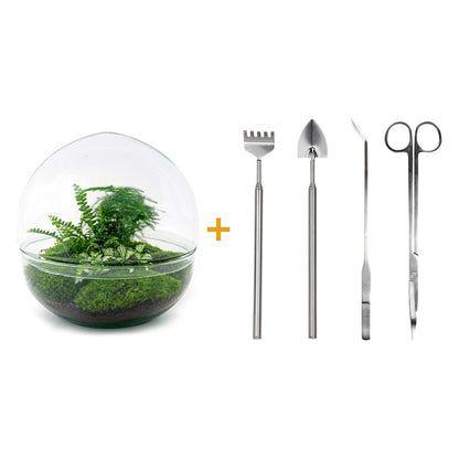 🌿🛠️ DIY Terrarium Dome XL – 30 cm – Complete with rake, shovel, tweezers &amp; scissors