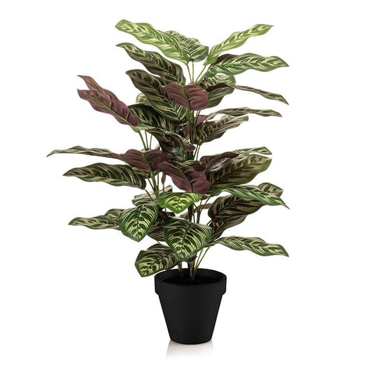 🪴 Calathea in pot – 65 cm – Artificial plant