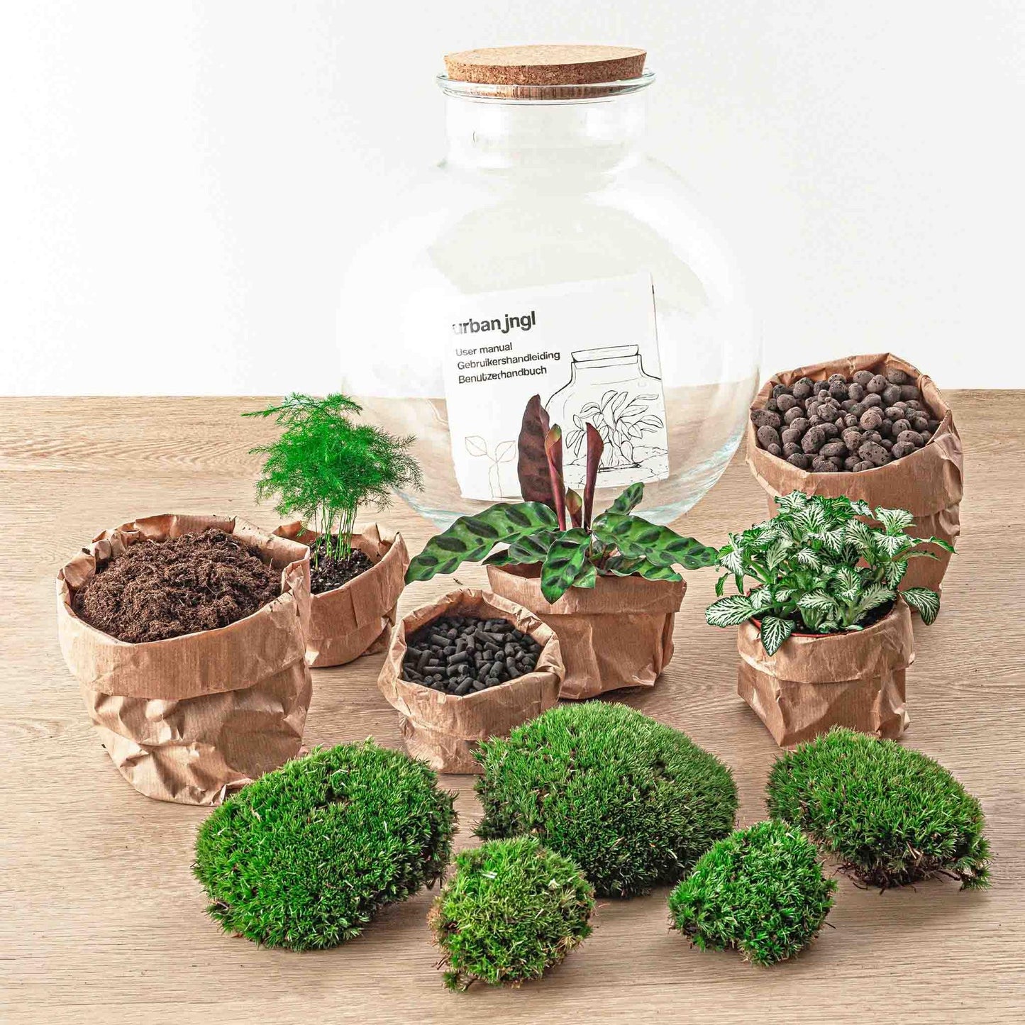 🌿🛠️ DIY Terrarium Bolder Bob – Bonsai – 30 cm – Complete with rake, shovel, tweezers &amp; scissors