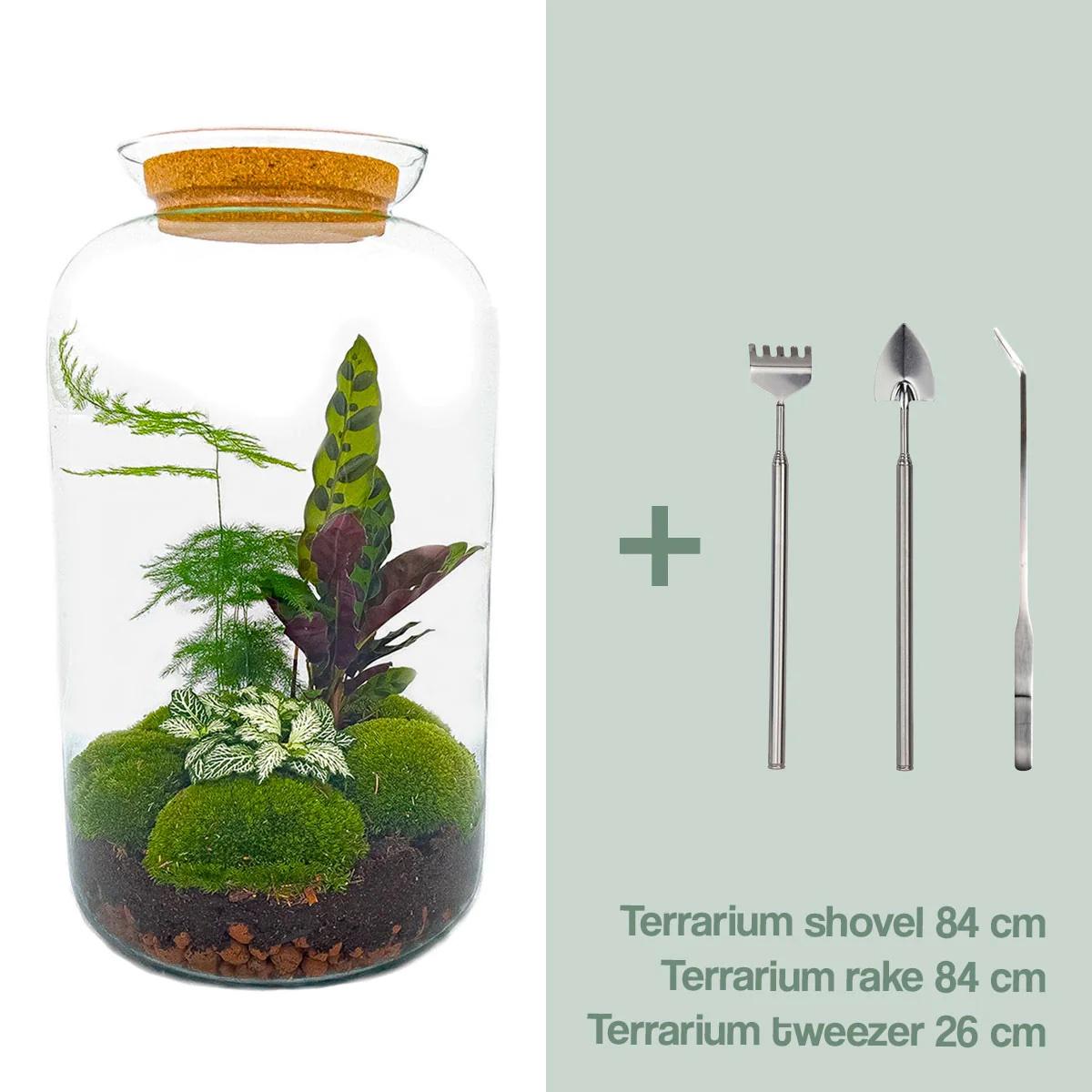 🌿🛠️ DIY Terrarium Sven XL – Botanical – 43 cm – Including tools