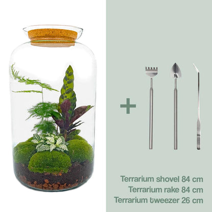 🌿🛠️ DIY Terrarium Sven XL – Botanical – 43 cm – Including tools