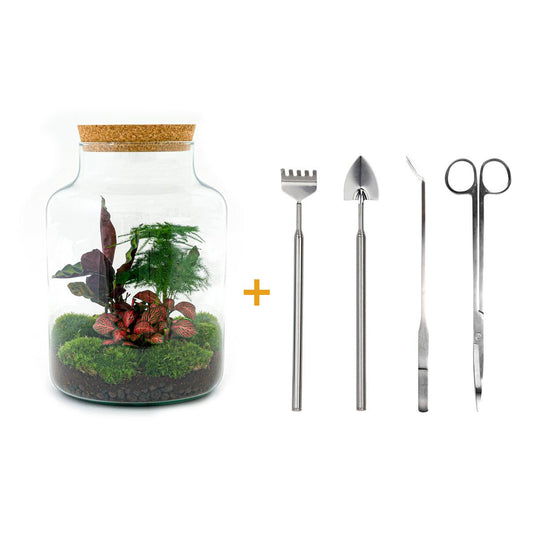 🌿🛠️ DIY Terrarium Milky – 30 cm – Complete with rake, scoop, tweezers &amp; scissors