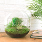 🌿🛠️ DIY Terrarium Dome XL – 30 cm – Including rake &amp; shovel