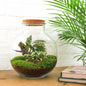 🌿🛠️ DIY Terrarium Bolder Bob – 30 cm – Including rake &amp; shovel