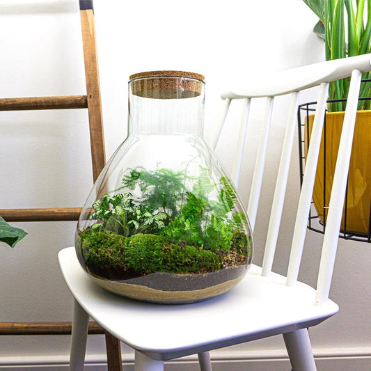 🌿🛠️ DIY Terrarium Sam XL – 35 cm – Complete with rake, shovel, tweezers &amp; scissors