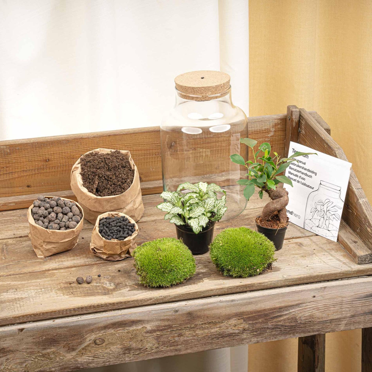 🪴💡 DIY Terrarium Little Milky – With LED – 25 cm