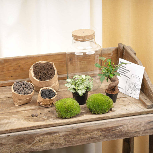 🪴💡 DIY Terrarium Little Milky – With LED – 25 cm