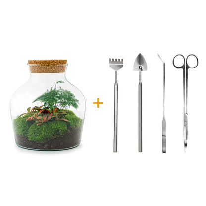 🌿🛠️ DIY Terrarium Little Joe – 21.5 cm – Complete with rake, shovel, tweezers &amp; scissors