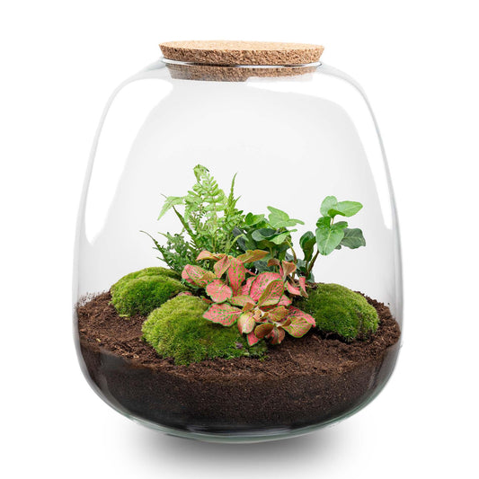 🌿💡 DIY Terrarium Emma – Hedera Red + LED – 25×23 cm