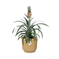 Pineapple Mi Amigo in ELHO Vibes Fold 14 cm yellow