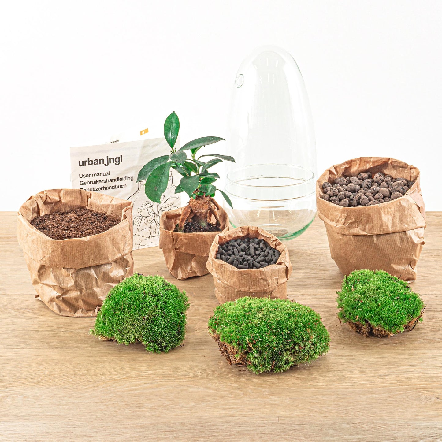 🌿 DIY Terrarium Egg – Bonsai – 25 cm
