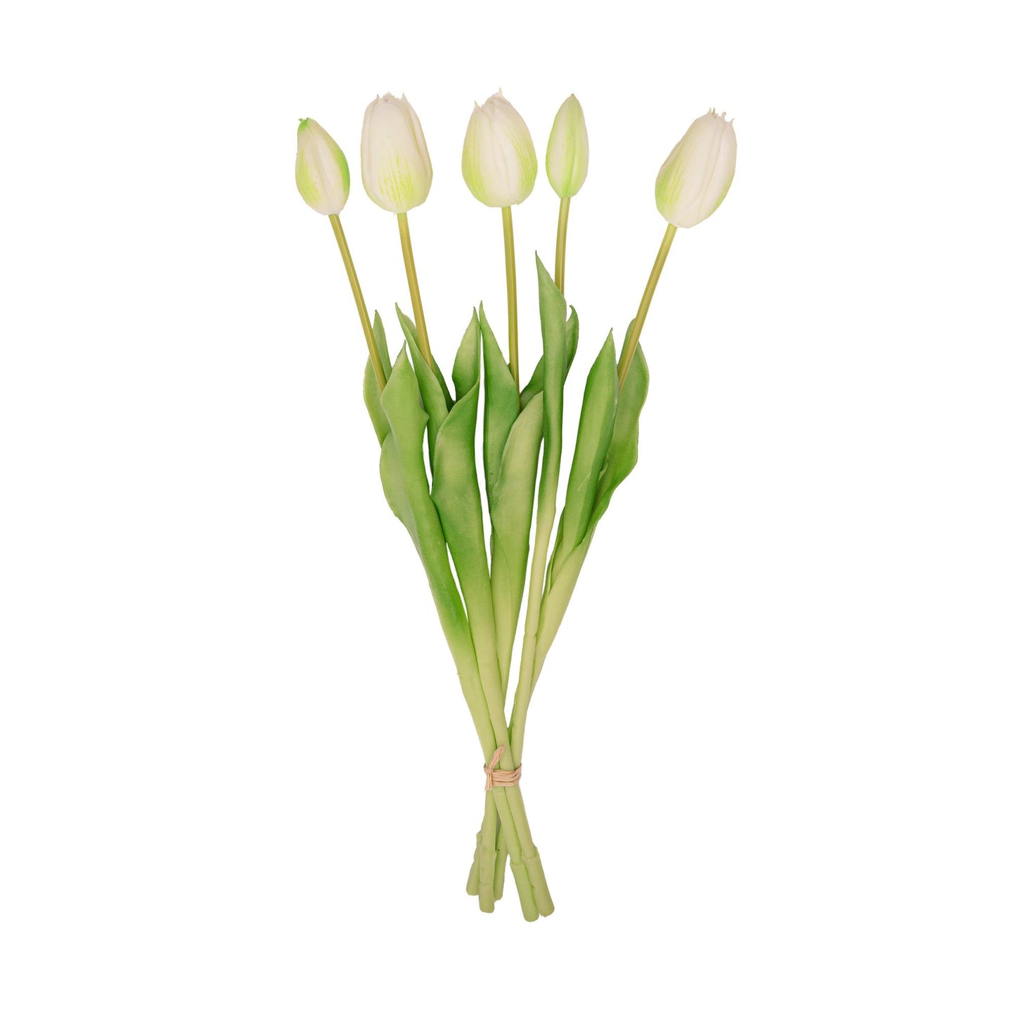 🌷 Tulip bouquet White/Green – 5 pieces – Real Touch – 42 cm
