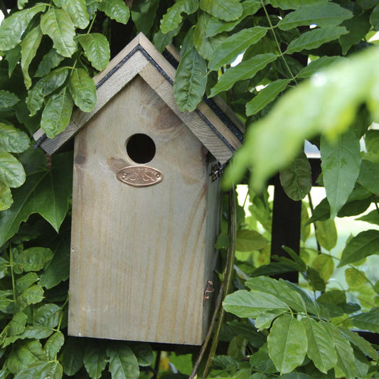 🐦 Blue Tit Birdhouse – Nesting Box – Bitumen Roof