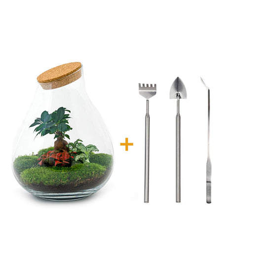 🌿🛠️ DIY Terrarium Drop XL – Bonsai – 37 cm – Including rake, shovel &amp; tweezers